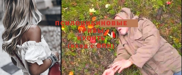 МДМА Горняк