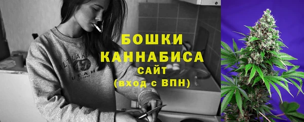 apvp Горно-Алтайск